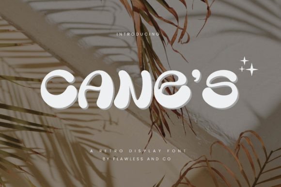Cane s Retro Display Font for Vintage Branding and Packaging