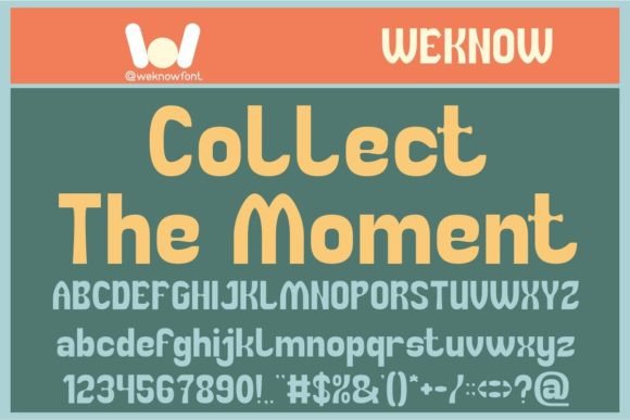 Collect the Moment Display Font for Campaign Design