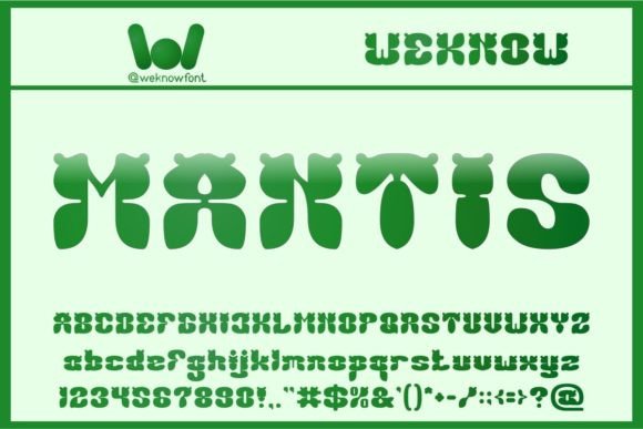 Make Your Brand Stand Out with the Mantis Display Font